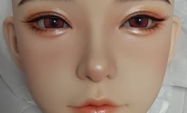 160水尺葵