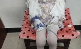 我的新女鹅