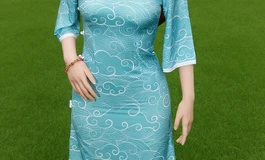 大夫人的靓装2