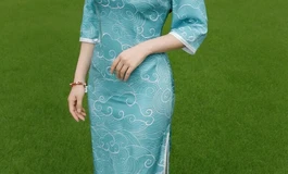大夫人的靓装2