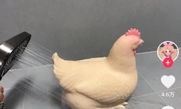求助贴