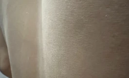 二夫人已到家