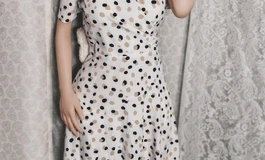 大夫人的靓装3