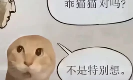 来点好看假发