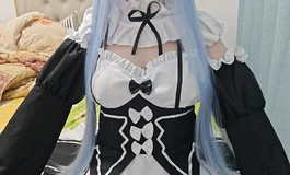 我家小女仆